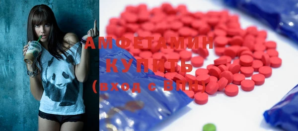 гашик Пестово