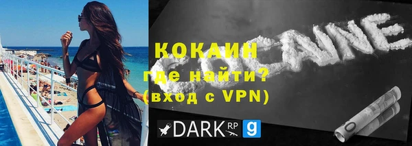 гашик Пестово