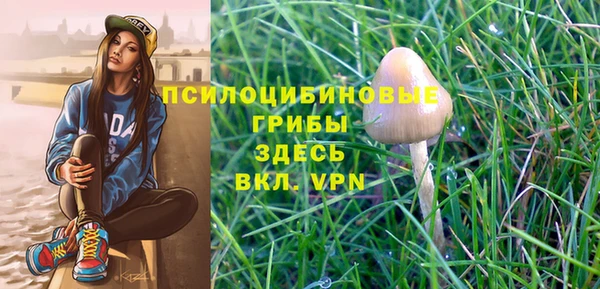 спайс Арсеньев