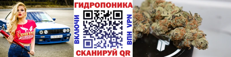 цены   Слюдянка  Бошки марихуана сатива 